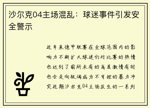 沙尔克04主场混乱：球迷事件引发安全警示